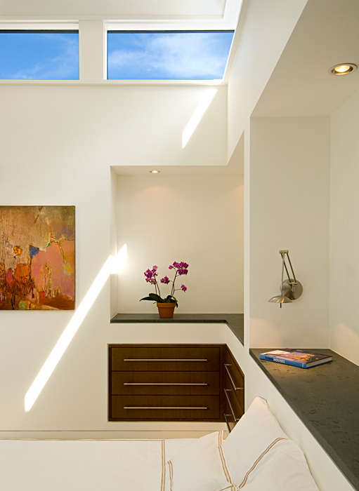 Skylights, Quincy Street Residence, Custom home by Peterson and Collins Builders