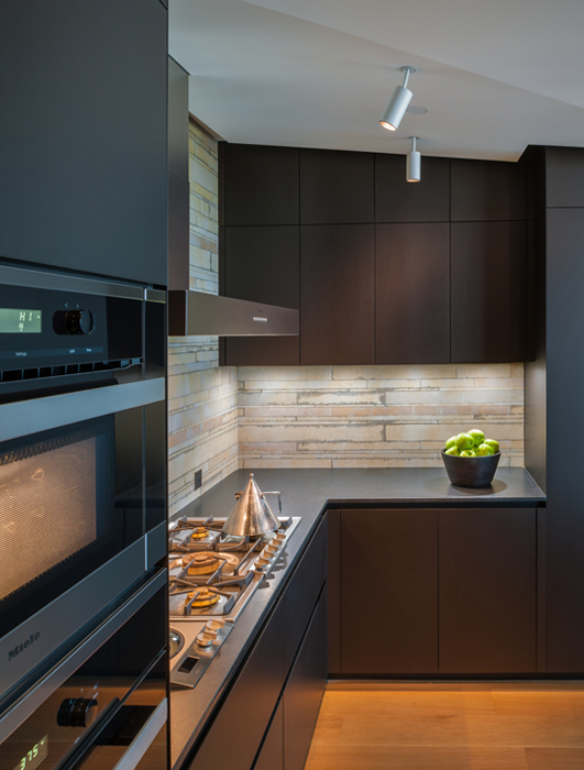 Kitchen, Custom penthouse, built by Peterson and Collins Builders