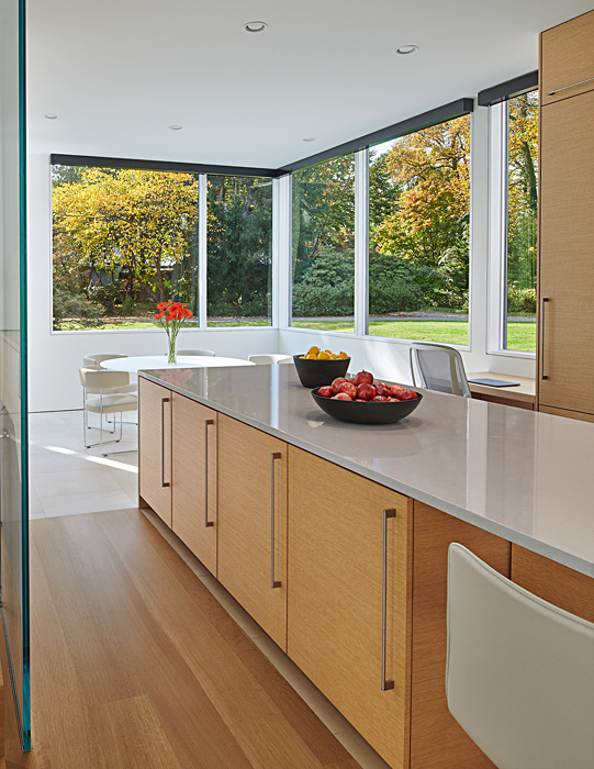 Levell Drive Residence contemporary kitchen with windows